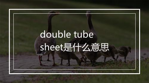 double tubesheet是什么意思