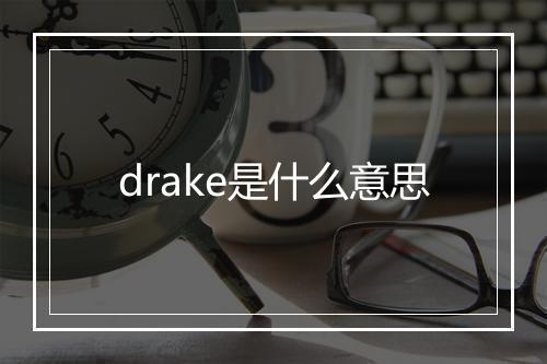 drake是什么意思