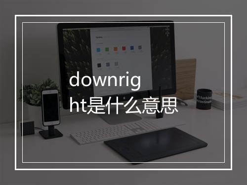 downright是什么意思