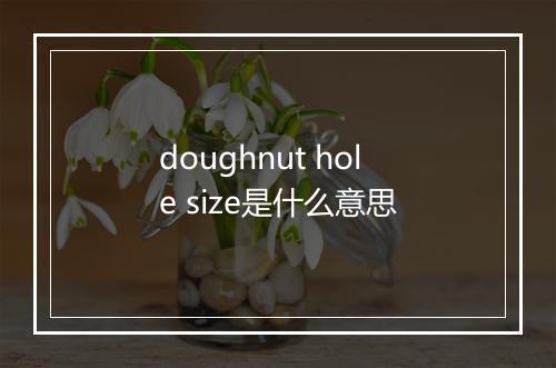 doughnut hole size是什么意思