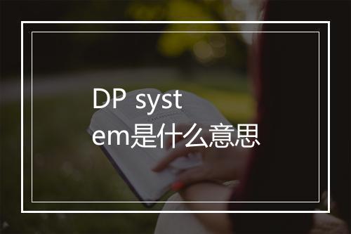 DP system是什么意思