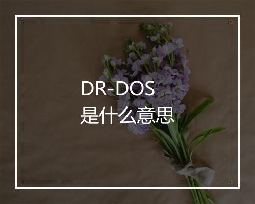 DR-DOS是什么意思