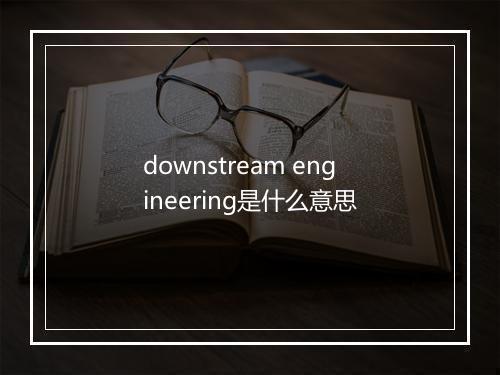 downstream engineering是什么意思