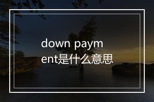 down payment是什么意思