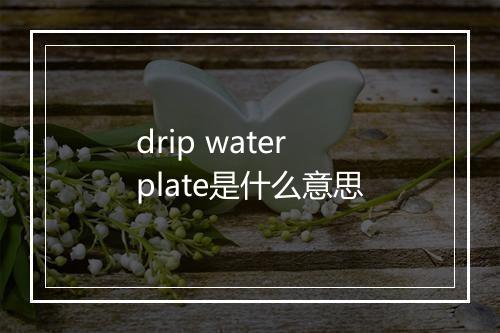 drip water plate是什么意思