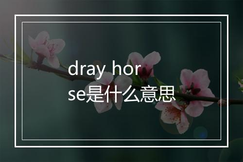 dray horse是什么意思