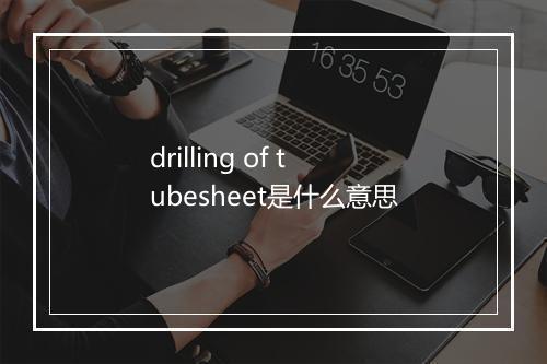 drilling of tubesheet是什么意思