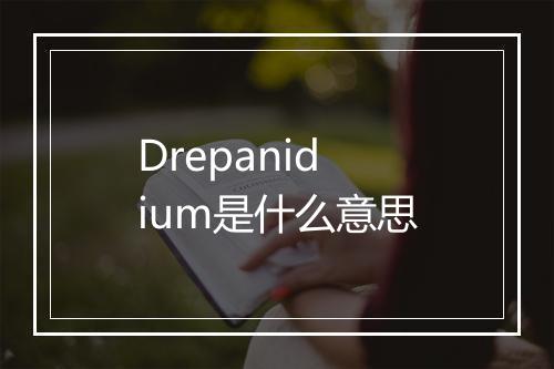 Drepanidium是什么意思