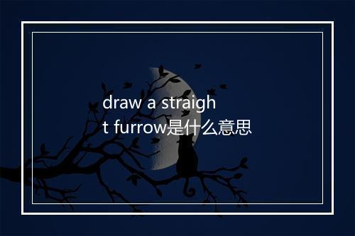 draw a straight furrow是什么意思