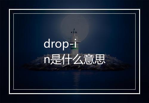 drop-in是什么意思