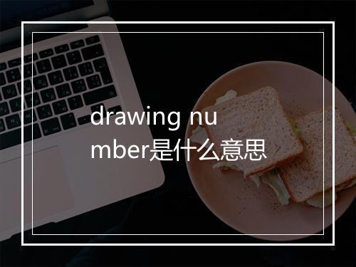 drawing number是什么意思