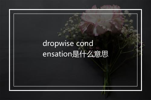 dropwise condensation是什么意思