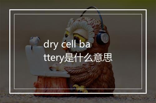 dry cell battery是什么意思