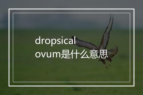 dropsical ovum是什么意思